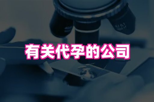 nub孕网 3